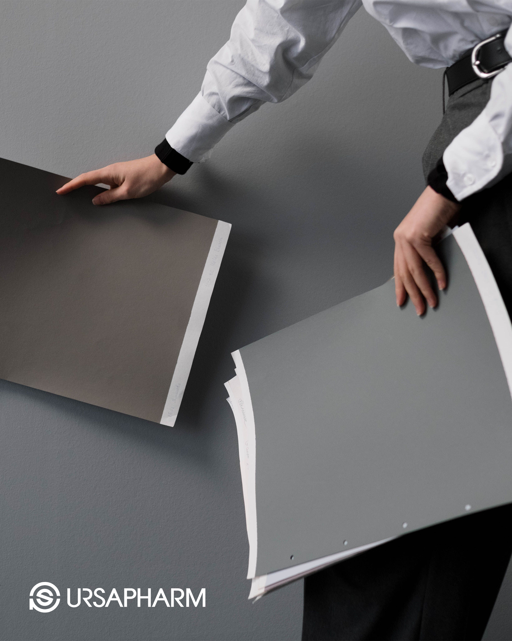 URSAPHAM Serbia office glass-wall branding